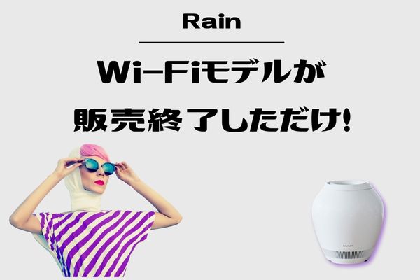 結論｜Wi-Fiモデルが販売終了しただけ！